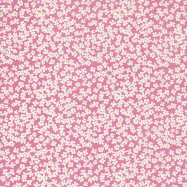 Shine 55672-13 Lollipop