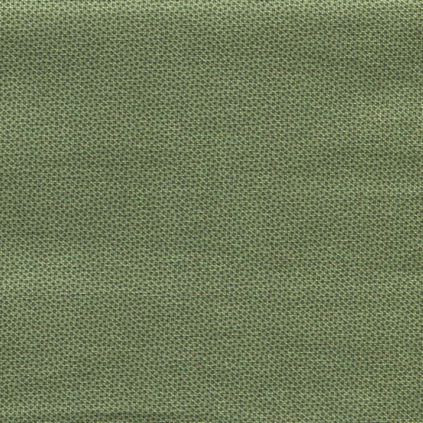 Pin Dots 1503-Holly