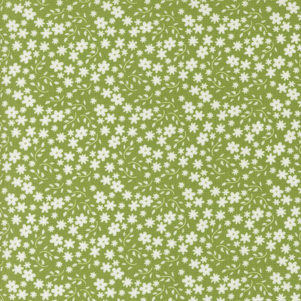 Raspberry Summer Fresh Grass 37693-18