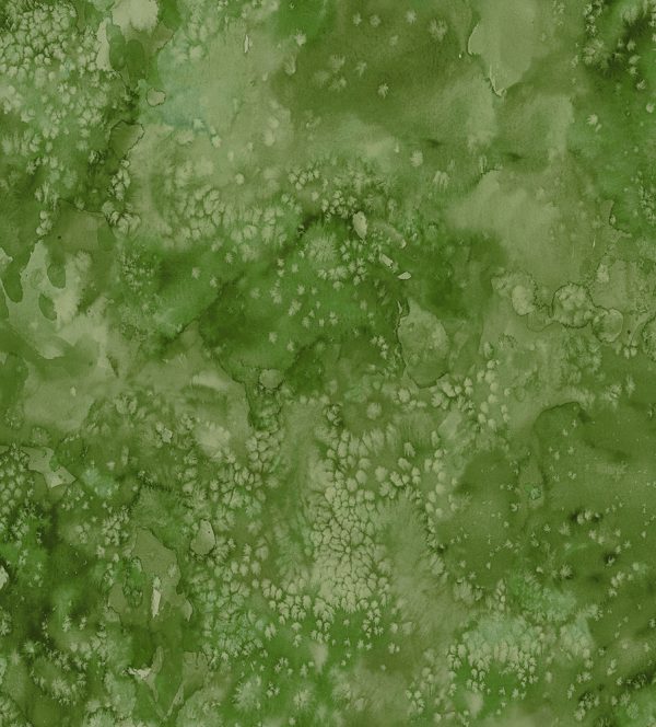 Fern 8433-47